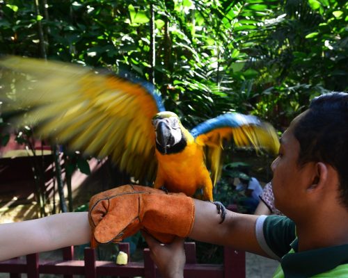 ????????????????????????????????????