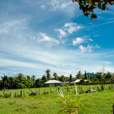 3069ea17-489c-4c84-bc5a-2438f2c5795e