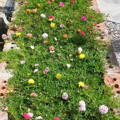 3f7c43e2-46e5-4a49-85d3-ec66727754e7