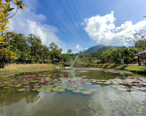 module: a; ?hw-remosaic: 0; ?touch: (-1.0, -1.0); ?modeInfo: ; ?sceneMode: Night; ?cct_value: 5700; ?AI_Scene: (-1, -1); ?aec_lux: 57.685585; ?hist255: 0.0; ?hist252~255: 0.0; ?hist0~15: 0.0; ?module: a; 
hw-remosaic: 0; 
touch: (-1.0, -1.0); 
modeInfo: ; 
sceneMode: Night; 
cct_value: 5700; 
AI_Scene: (-1, -1); 
aec_lux: 57.685585; 
hist255: 0.0; 
hist252~255: 0.0; 
hist0~15: 0.0;