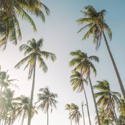 PHOTO-2025-08-15-23-38-47