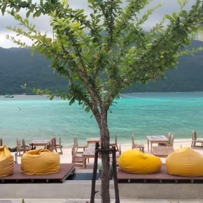 PHOTO-2025-11-25-17-50-17