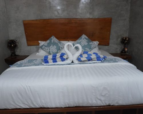 PHOTO-2026-01-20-12-55-17 2