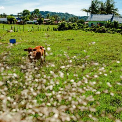 ca985a34-01a2-4a05-a299-347a35ac8b55