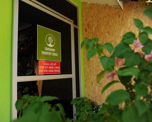 de0b69b2-48d0-480b-a817-bd34ef3cc1dc